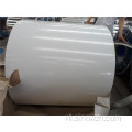 Pre-painted Galvanized Steel Coil voor Export